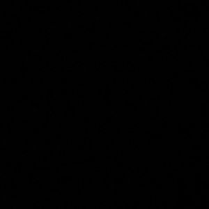 Meet your Posher, Dina